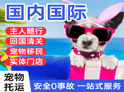 厦门高崎空运代理国际宠物托运 【国